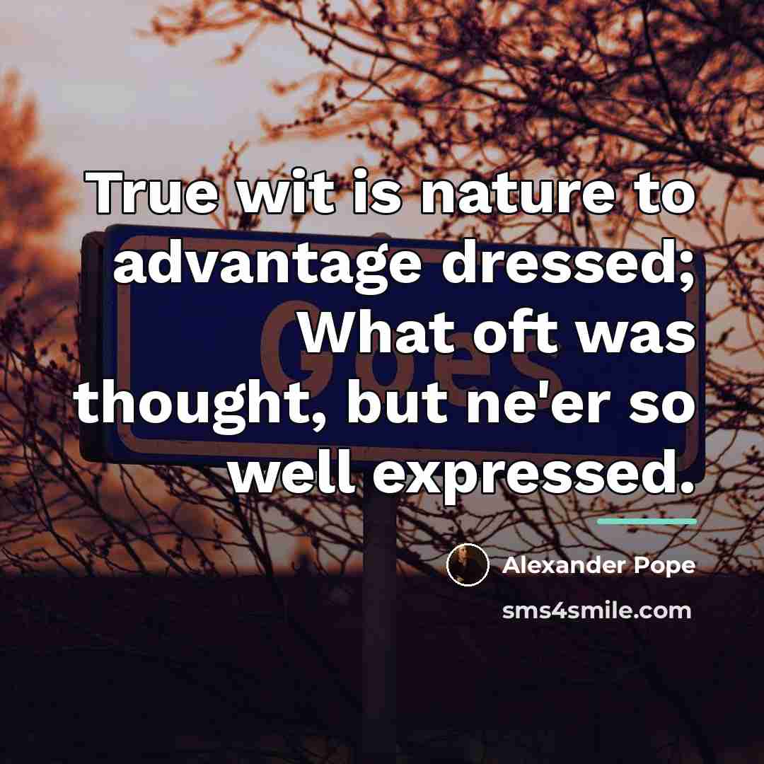 “True wit is nature to advantage dressed; What oft was…” quote by Alexander Pope