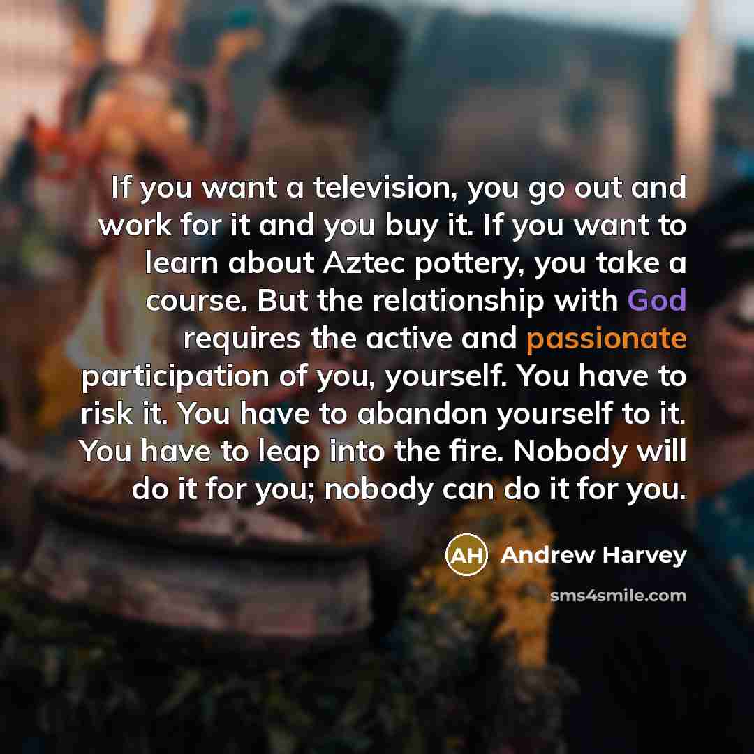 “If you want a television, you go out and work…” quote by Andrew Harvey