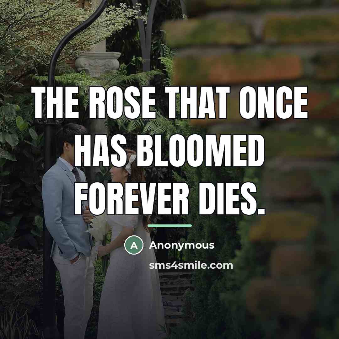 “The rose that once has bloomed forever dies.…” quote by Anonymous