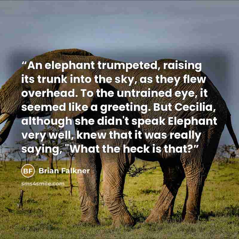 “An elephant trumpeted, raising its trunk into the sky, as they flew overhead. To the untrained eye, it seemed like a greeting. But Cecilia, although she didn't speak Elephant very well, knew that it was really saying, "What the heck is that?” quote by Brian Falkner