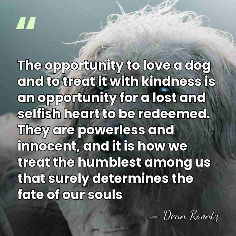 The opportunity to love a dog and to treat it with kindness&hellip; - Dean Koontz