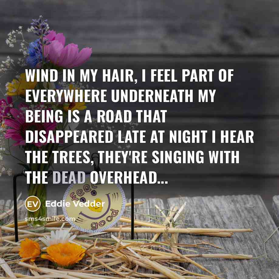 “Wind in my hair, I feel part of everywhere Underneath my being is a road that disappeared Late at night I hear the trees, they're singing with the dead Overhead...” quote by Eddie Vedder