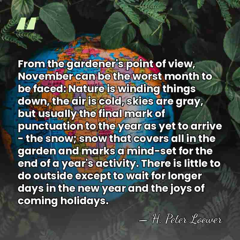 From the gardener's point of view, November can be the worst month&hellip; - H. Peter Loewer