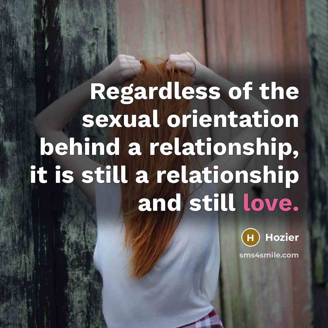 “Regardless of the sexual orientation behind a relationship, it is…” quote by Hozier
