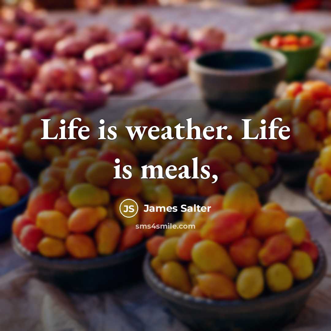 “Life is weather. Life is meals,…” quote by James Salter