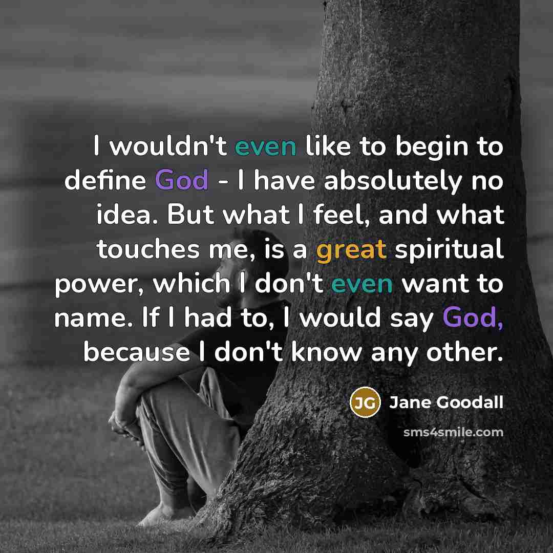“I wouldn't even like to begin to define God - I have absolutely no idea. But what I feel, and what touches me, is a great spiritual power, which I don't even want to name. If I had to, I would say God, because I don't know any other.” quote by Jane Goodall