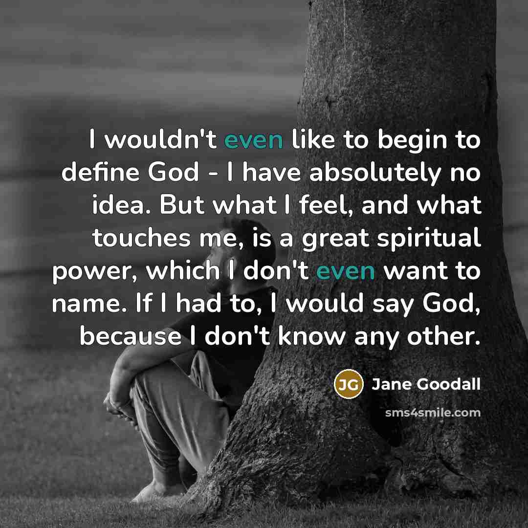 “I wouldn't even like to begin to define God -…” quote by Jane Goodall
