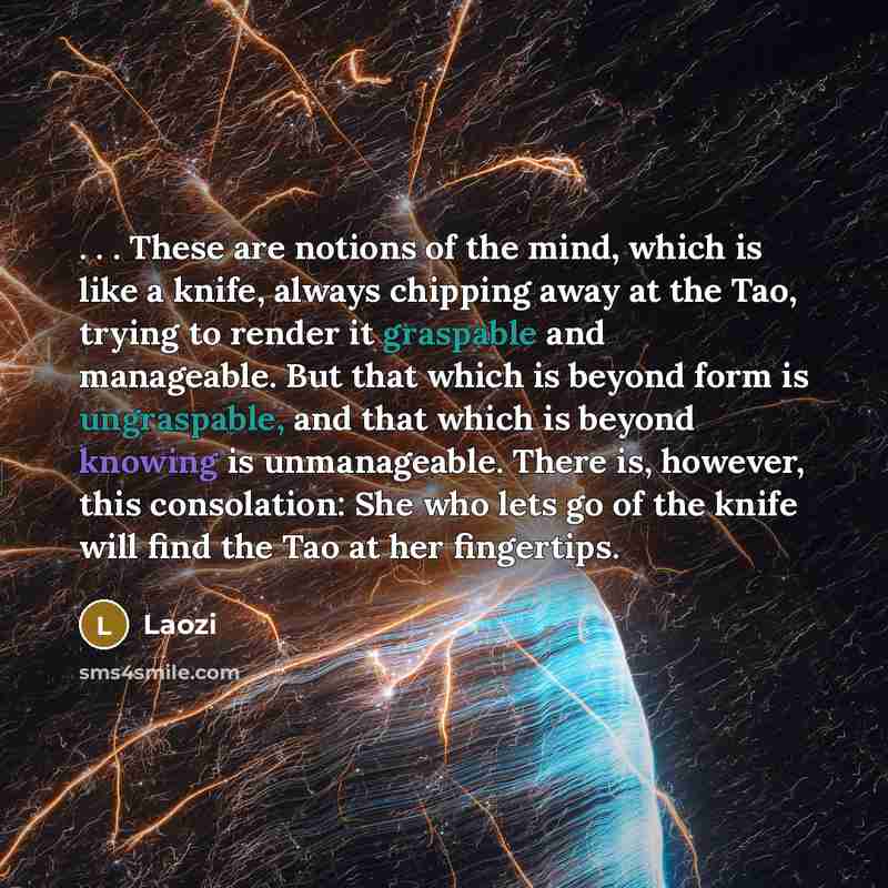 “. . . These are notions of the mind, which…” quote by Laozi