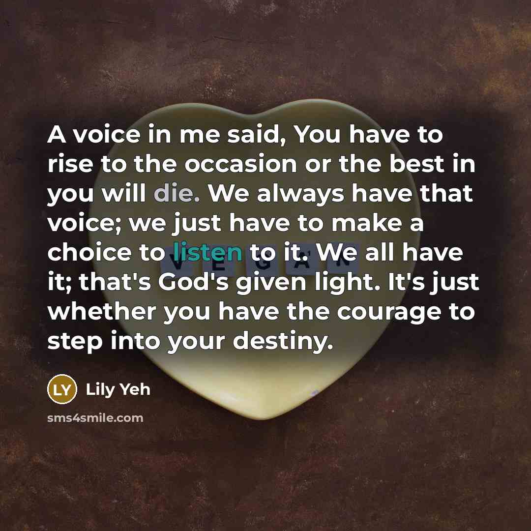 “A voice in me said, You have to rise to…” quote by Lily Yeh