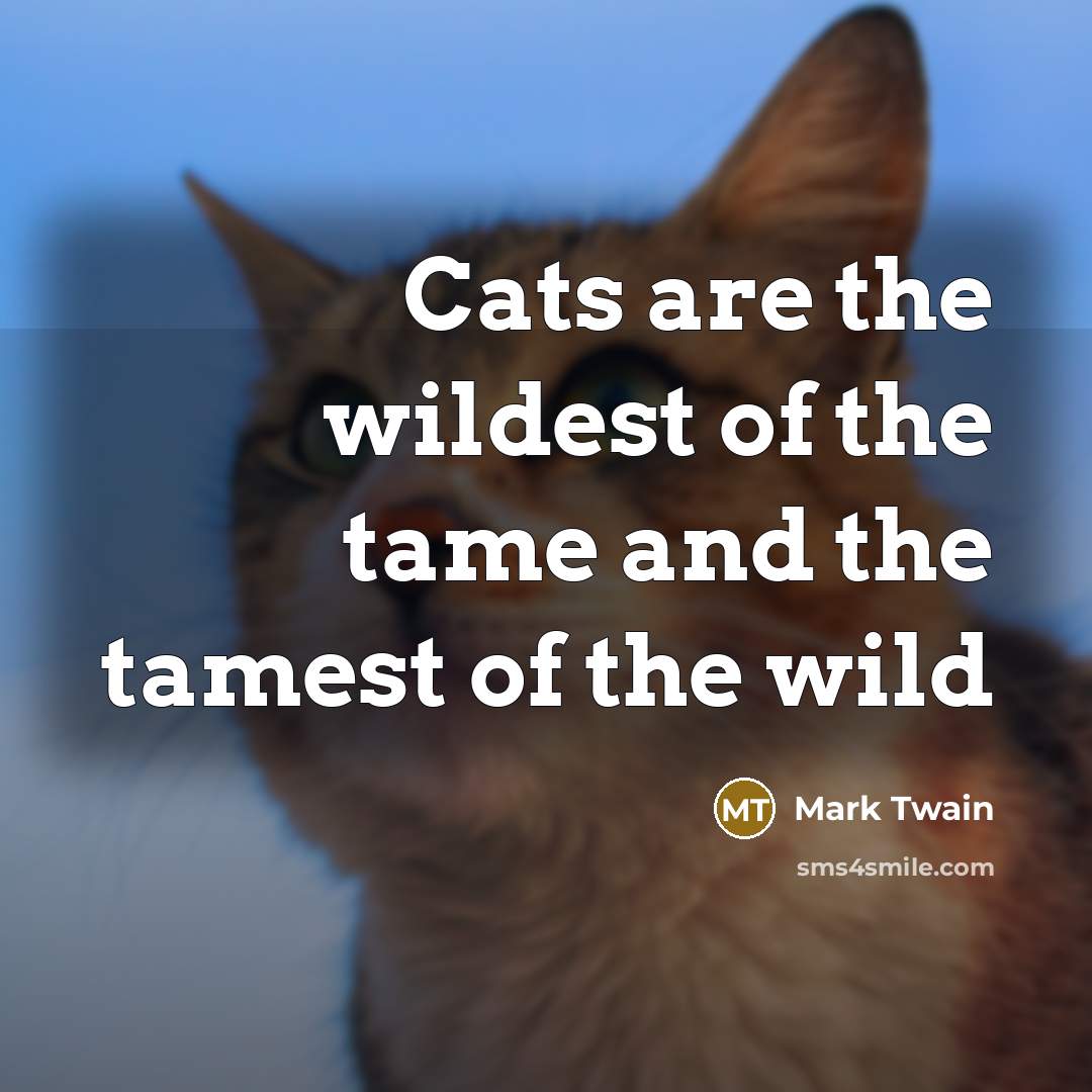 “Cats are the wildest of the tame and the tamest…” quote by Mark Twain