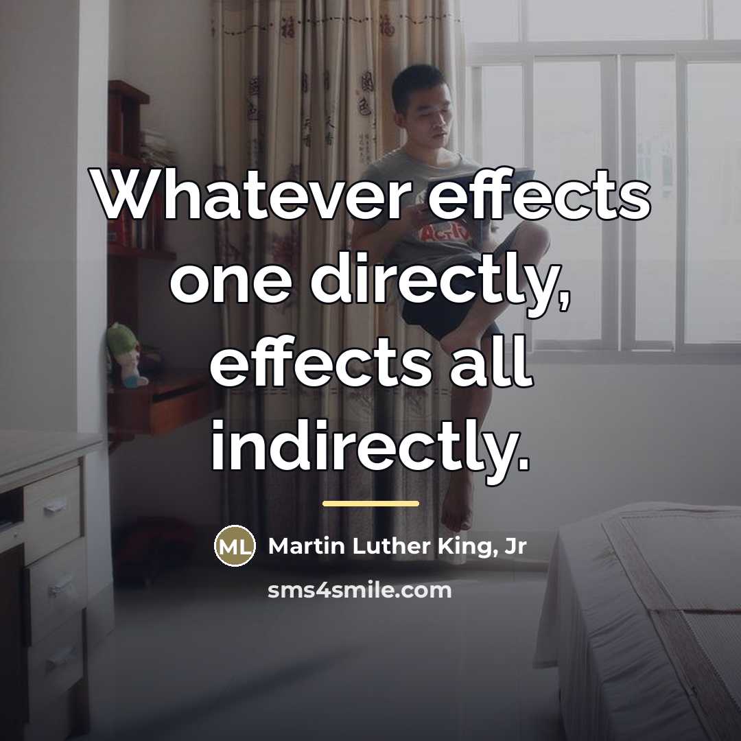 “Whatever effects one directly, effects all indirectly.…” quote by Martin Luther King, Jr