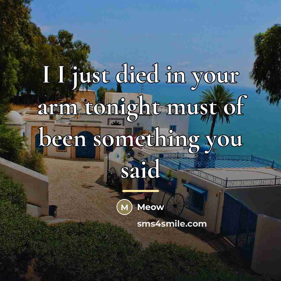 “I I just died in your arm tonight must of…” quote by Meow