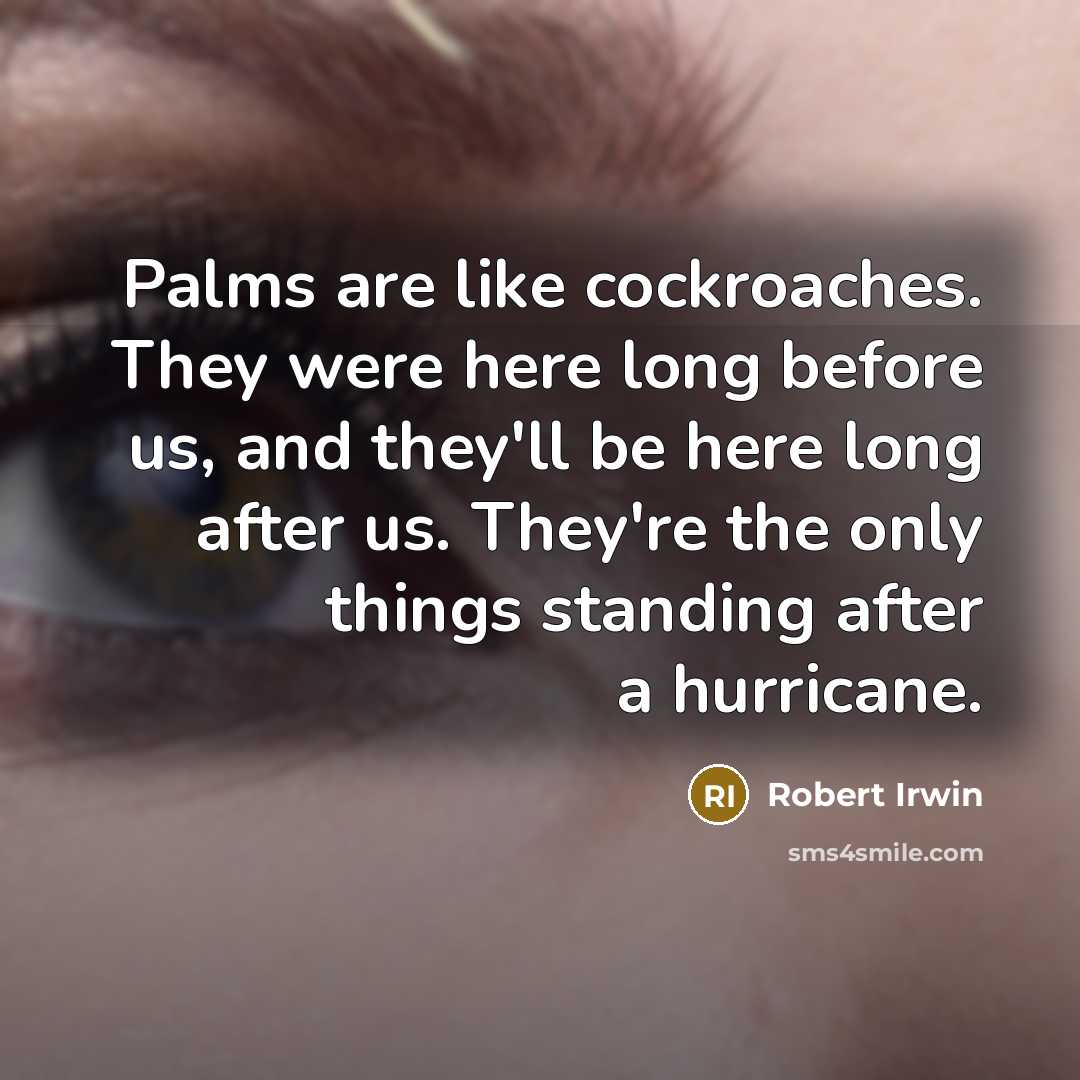 “Palms are like cockroaches. They were here long before us,…” quote by Robert Irwin