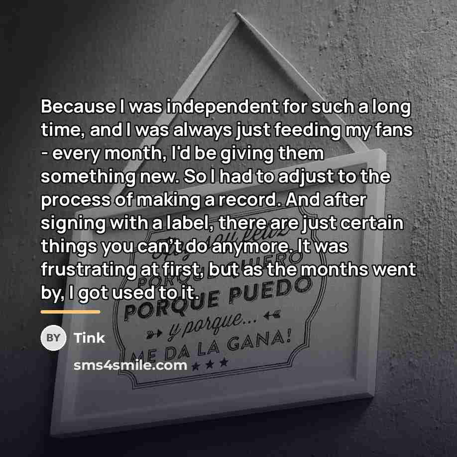 “Because I was independent for such a long time, and…” quote by Tink
