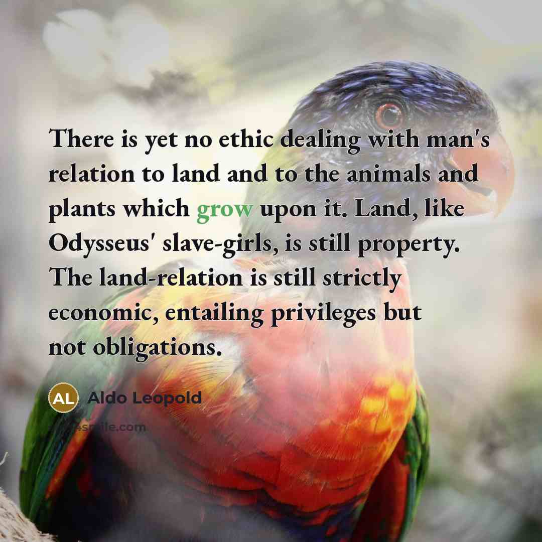 “There is yet no ethic dealing with man's relation to…” quote by Aldo Leopold