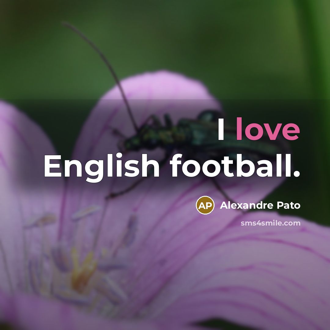“I love English football.…” quote by Alexandre Pato