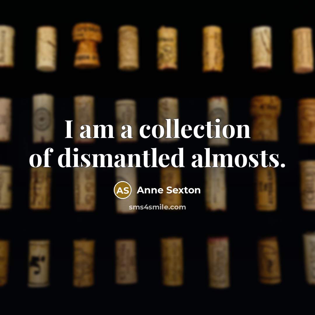 “I am a collection of dismantled almosts.” quote by Anne Sexton