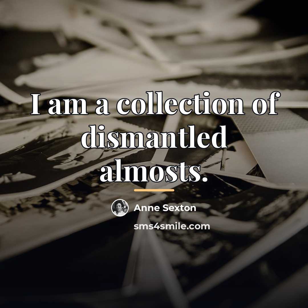 “I am a collection of dismantled almosts.…” quote by Anne Sexton