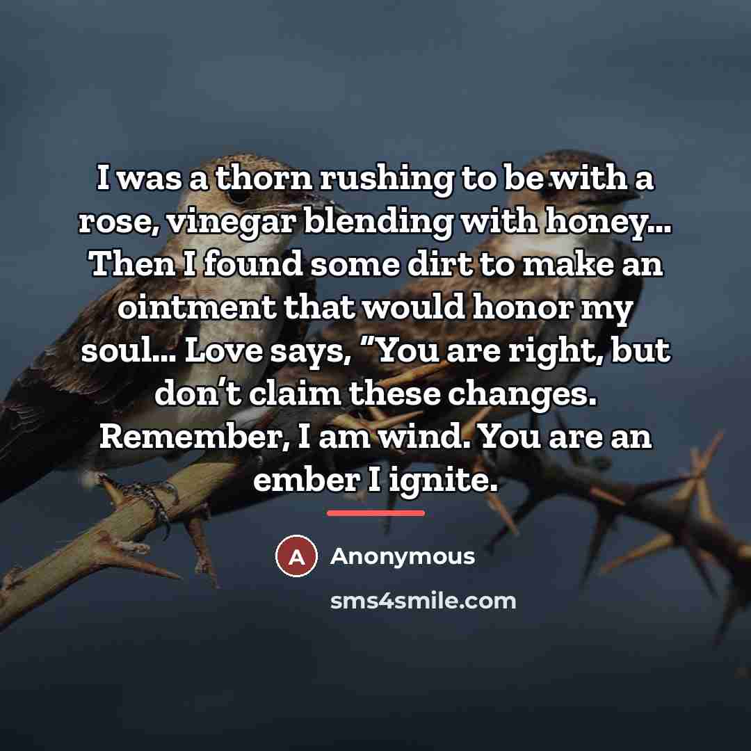 “I was a thorn rushing to be with a rose,…” quote by Anonymous