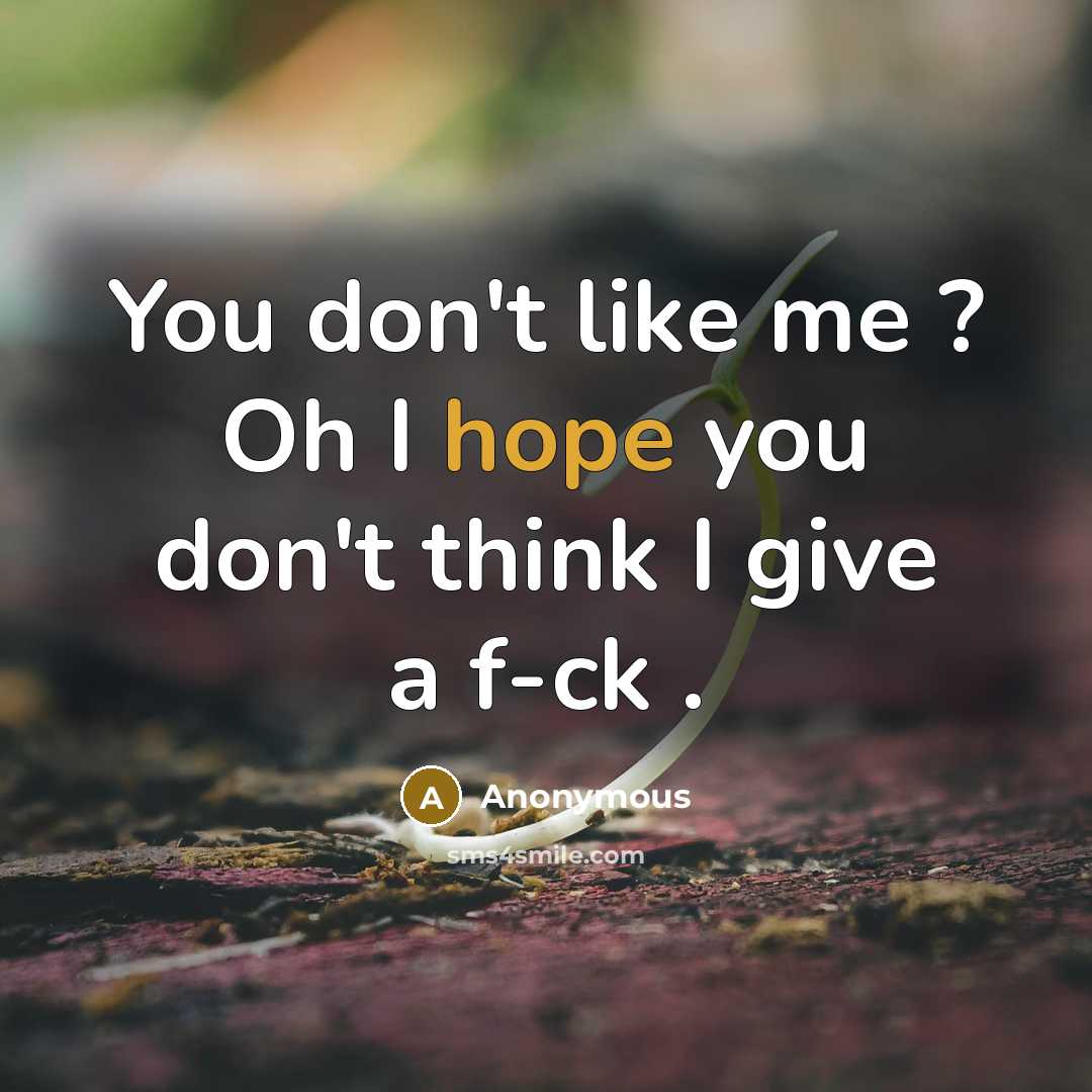 “You don't like me ? Oh I hope you don't…” quote by Anonymous