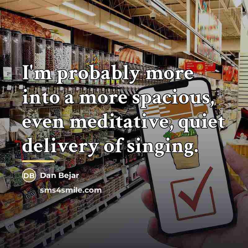 “I'm probably more into a more spacious, even meditative, quiet…” quote by Dan Bejar