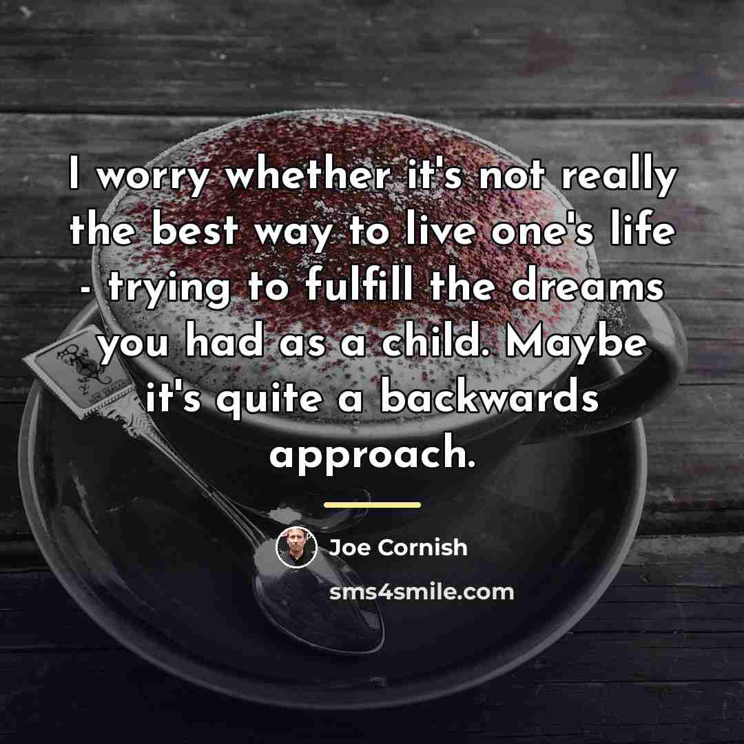 “I worry whether it's not really the best way to…” quote by Joe Cornish