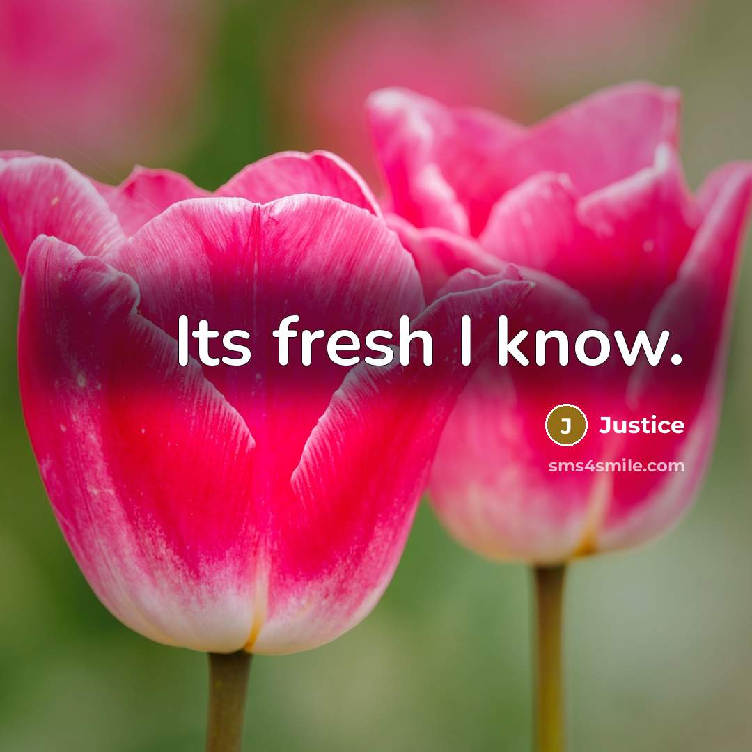 “Its fresh I know.” quote by Justice