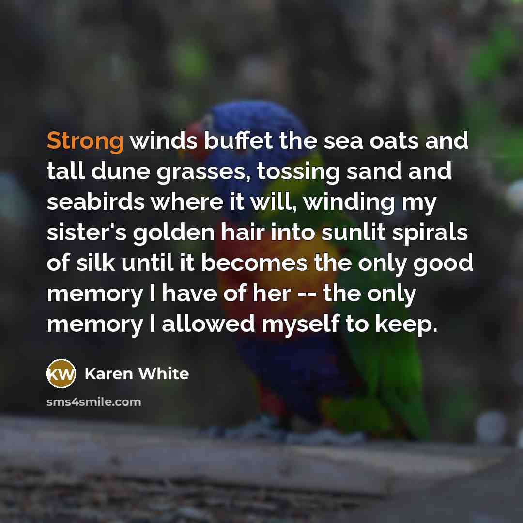 “Strong winds buffet the sea oats and tall dune grasses,…” quote by Karen White