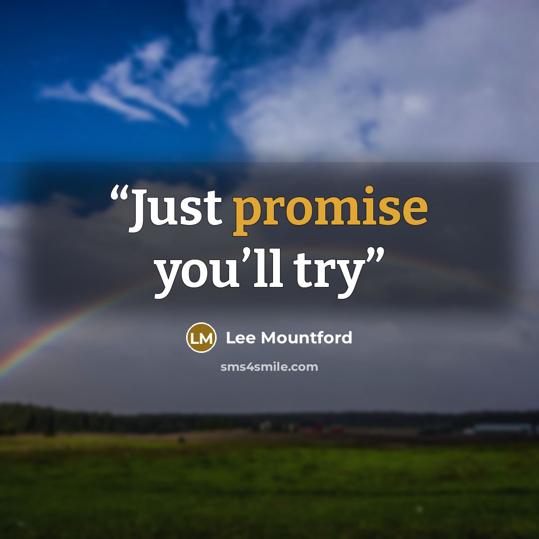 “Just promise you’ll try” quote by Lee Mountford