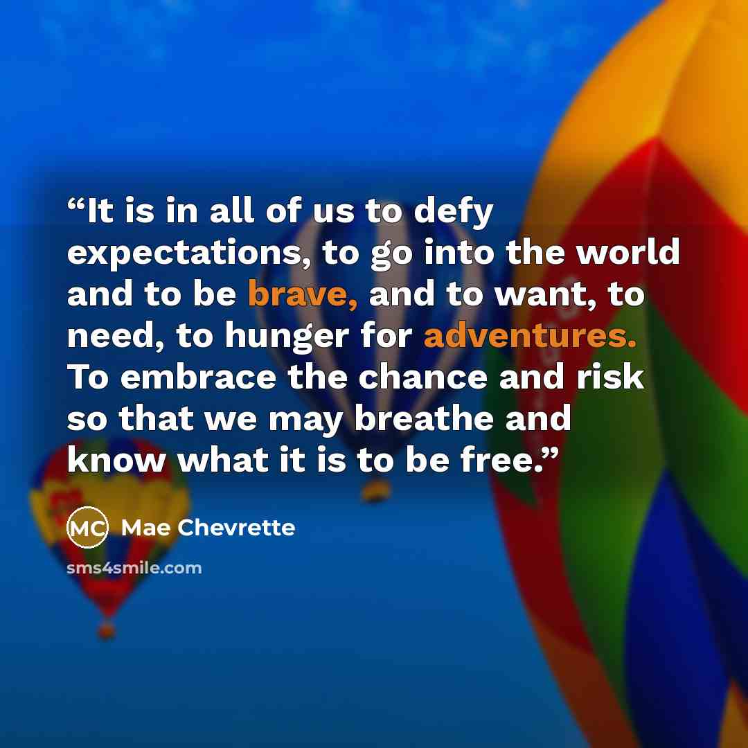 “It is in all of us to defy expectations, to go into the world and to be brave, and to want, to need, to hunger for adventures. To embrace the chance and risk so that we may breathe and know what it is to be free.” quote by Mae Chevrette