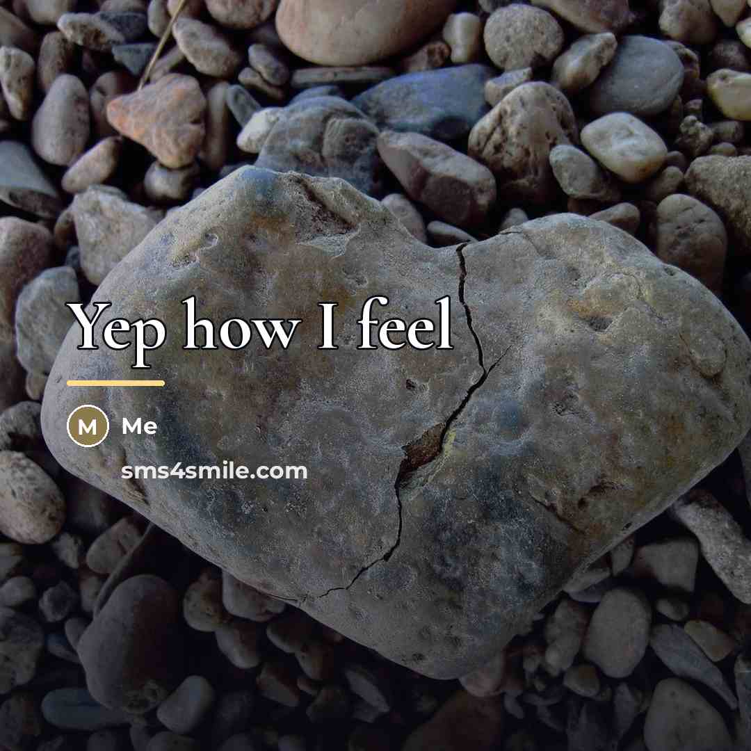 “Yep how I feel…” quote by Me