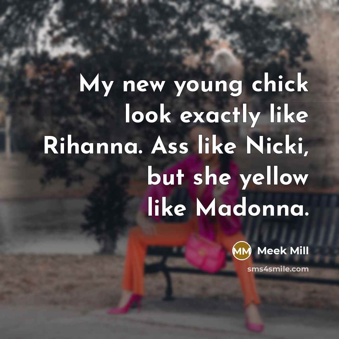 “My new young chick look exactly like Rihanna. Ass like…” quote by Meek Mill