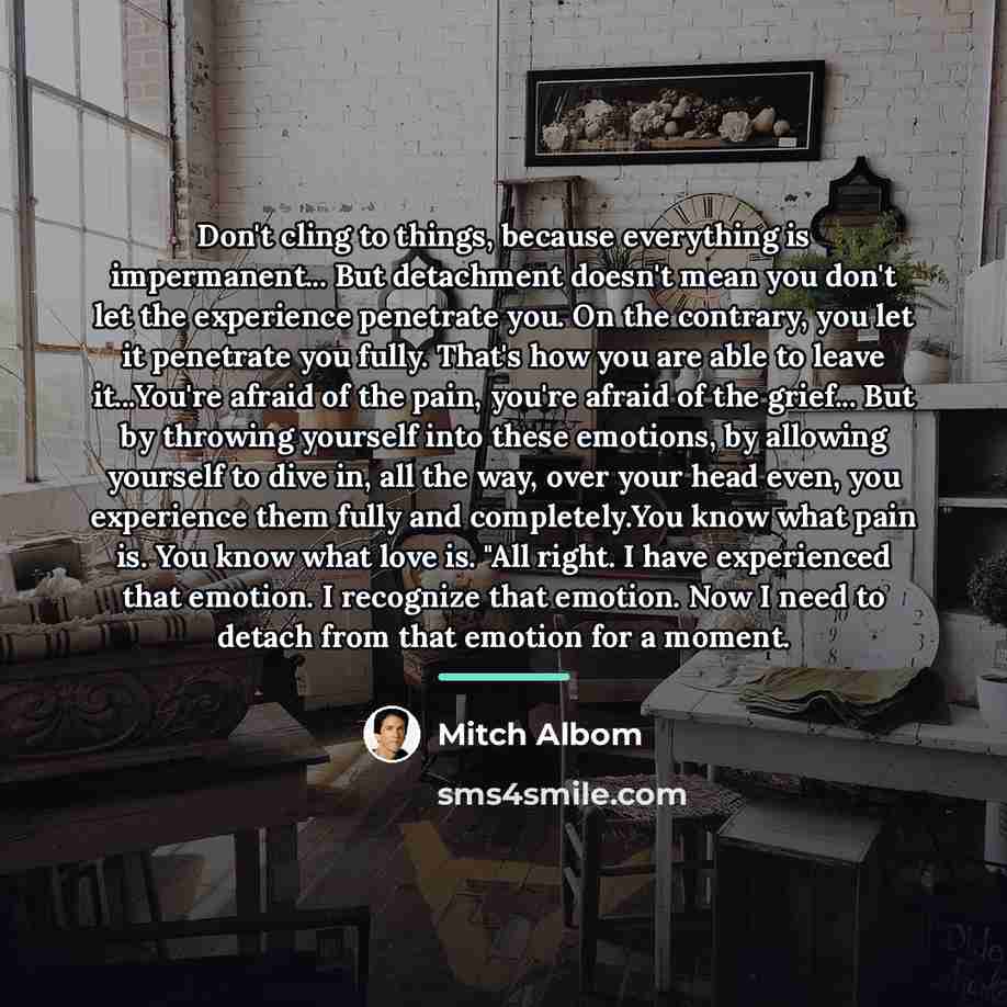 “Don't cling to things, because everything is impermanent... But detachment…” quote by Mitch Albom