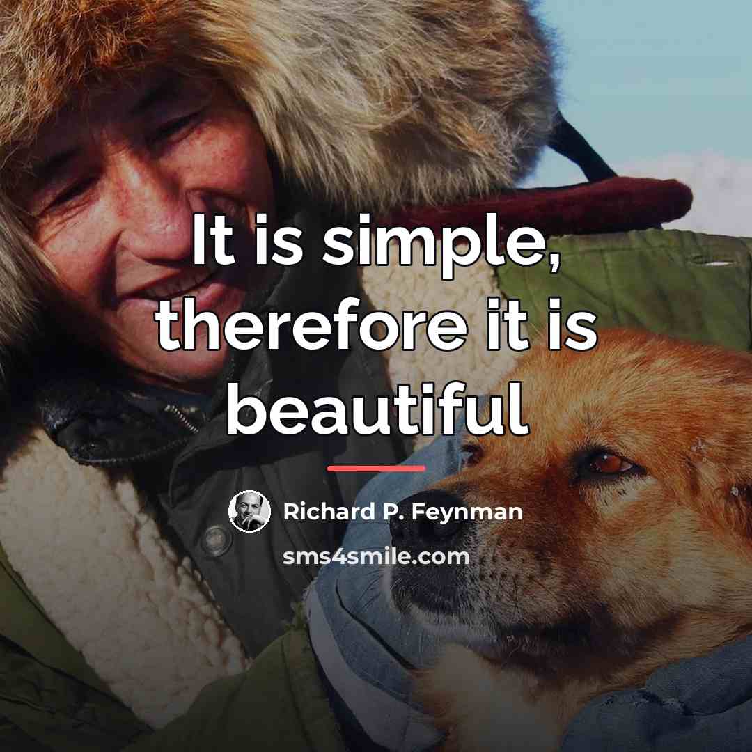 “It is simple, therefore it is beautiful…” quote by Richard P. Feynman