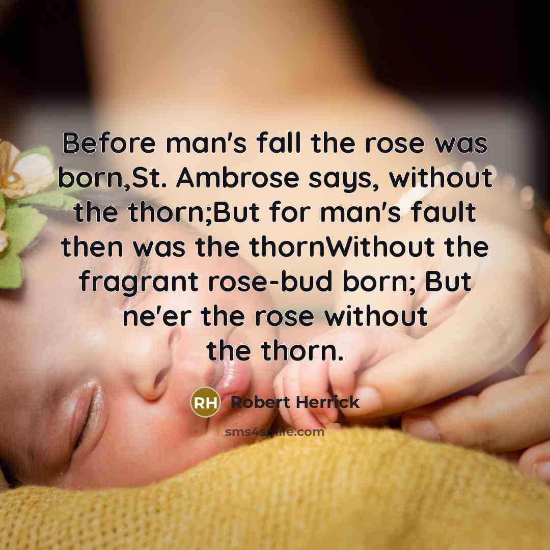 “Before man's fall the rose was born,St. Ambrose says, without…” quote by Robert Herrick