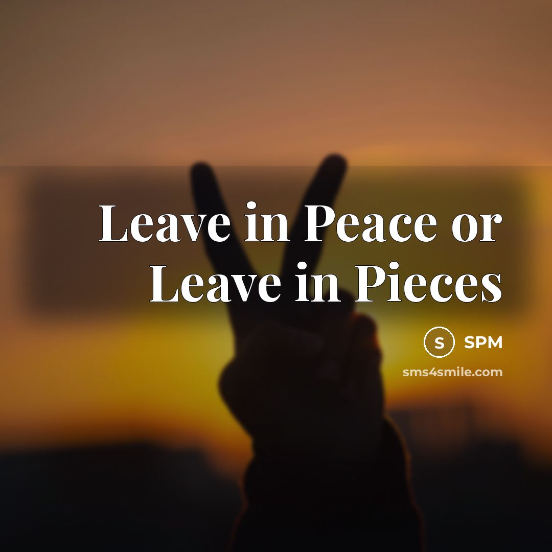 “Leave in Peace or Leave in Pieces…” quote by SPM