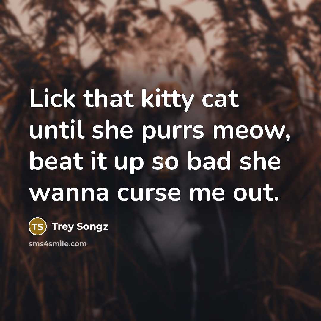 “Lick that kitty cat until she purrs meow, beat it up so bad she wanna curse me out.” quote by Trey Songz
