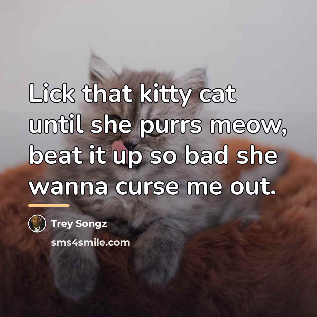 “Lick that kitty cat until she purrs meow, beat it…” quote by Trey Songz