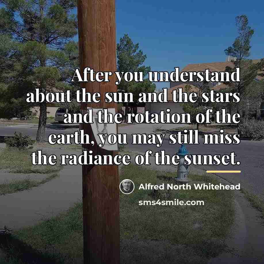 “After you understand about the sun and the stars and…” quote by Alfred North Whitehead