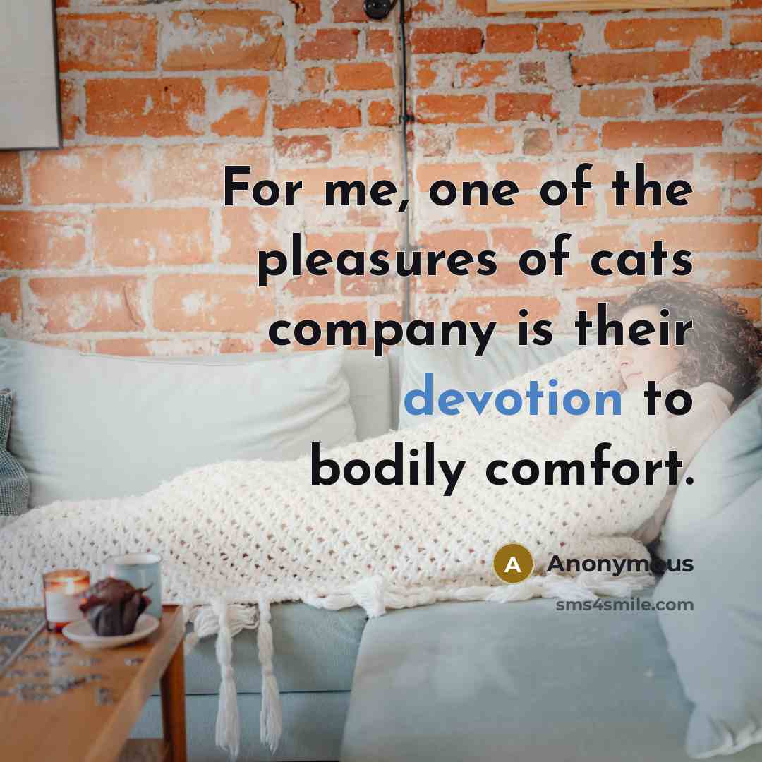 “For me, one of the pleasures of cats company is…” quote by Anonymous