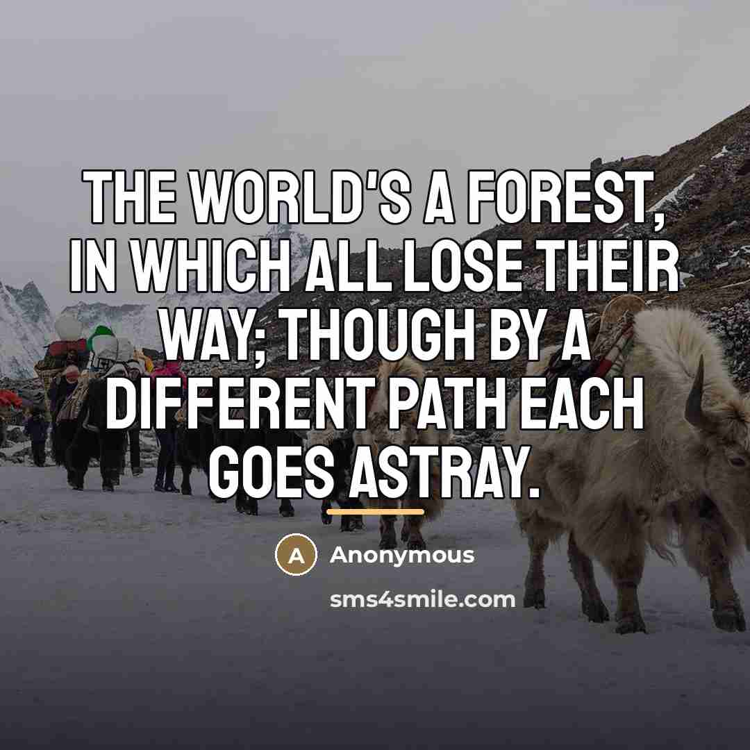 “The world's a forest, in which all lose their way;…” quote by Anonymous