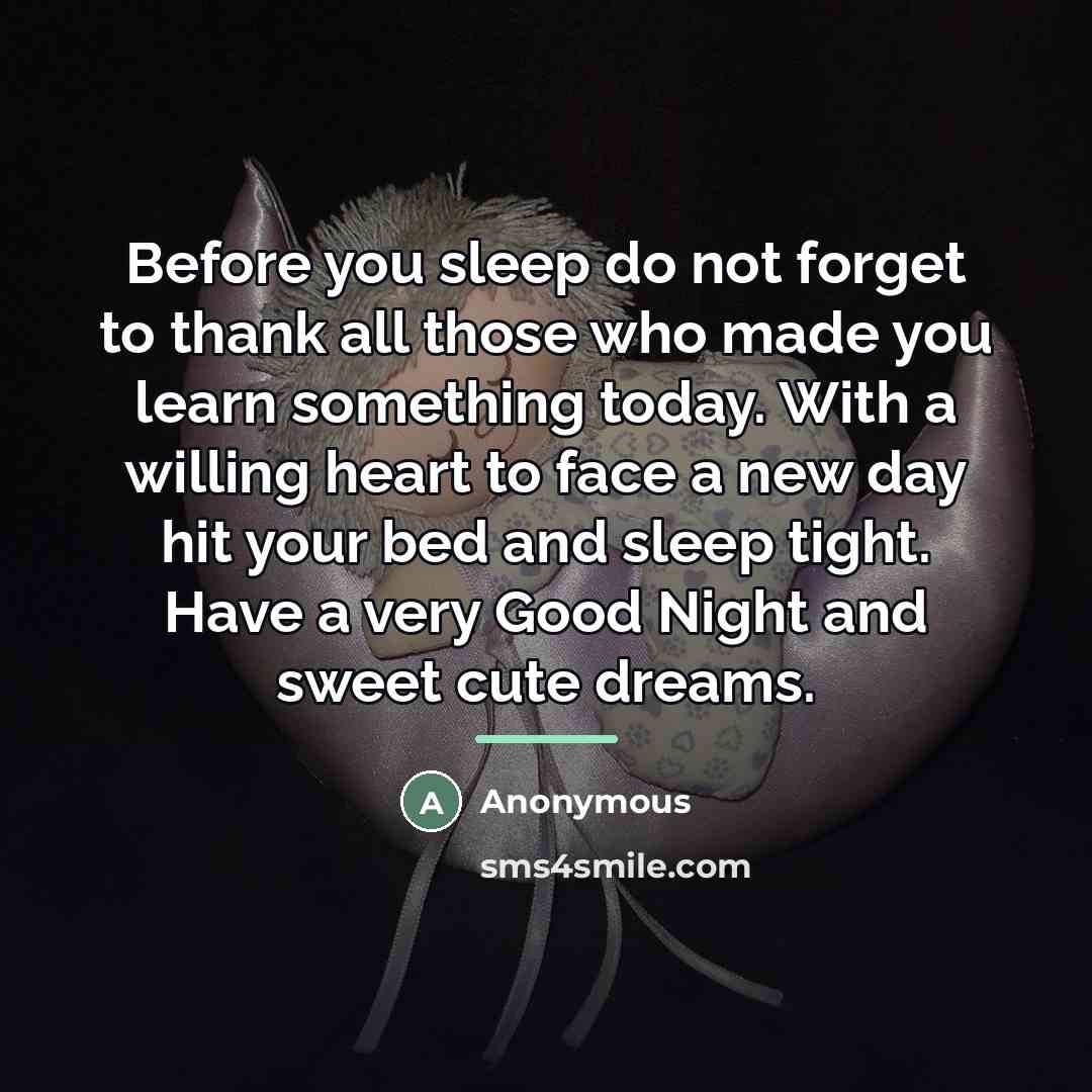 “Before you sleep do not forget to thank all those…” quote by Anonymous