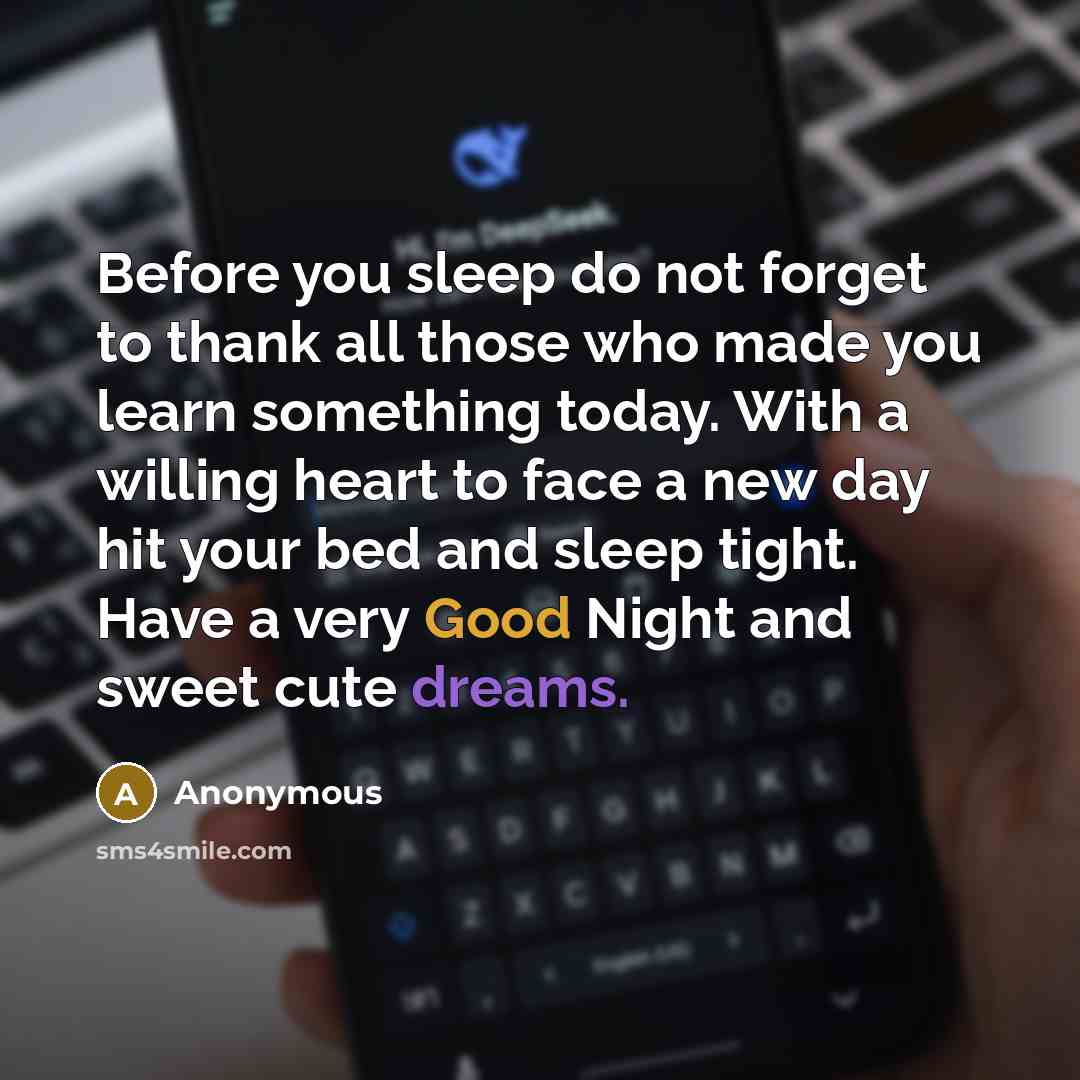 “Before you sleep do not forget to thank all those who made you learn something today. With a willing heart to face a new day hit your bed and sleep tight. Have a very Good Night and sweet cute dreams.” quote by Anonymous
