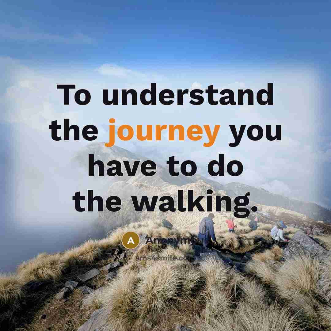 “To understand the journey you have to do the walking.…” quote by Anonymous
