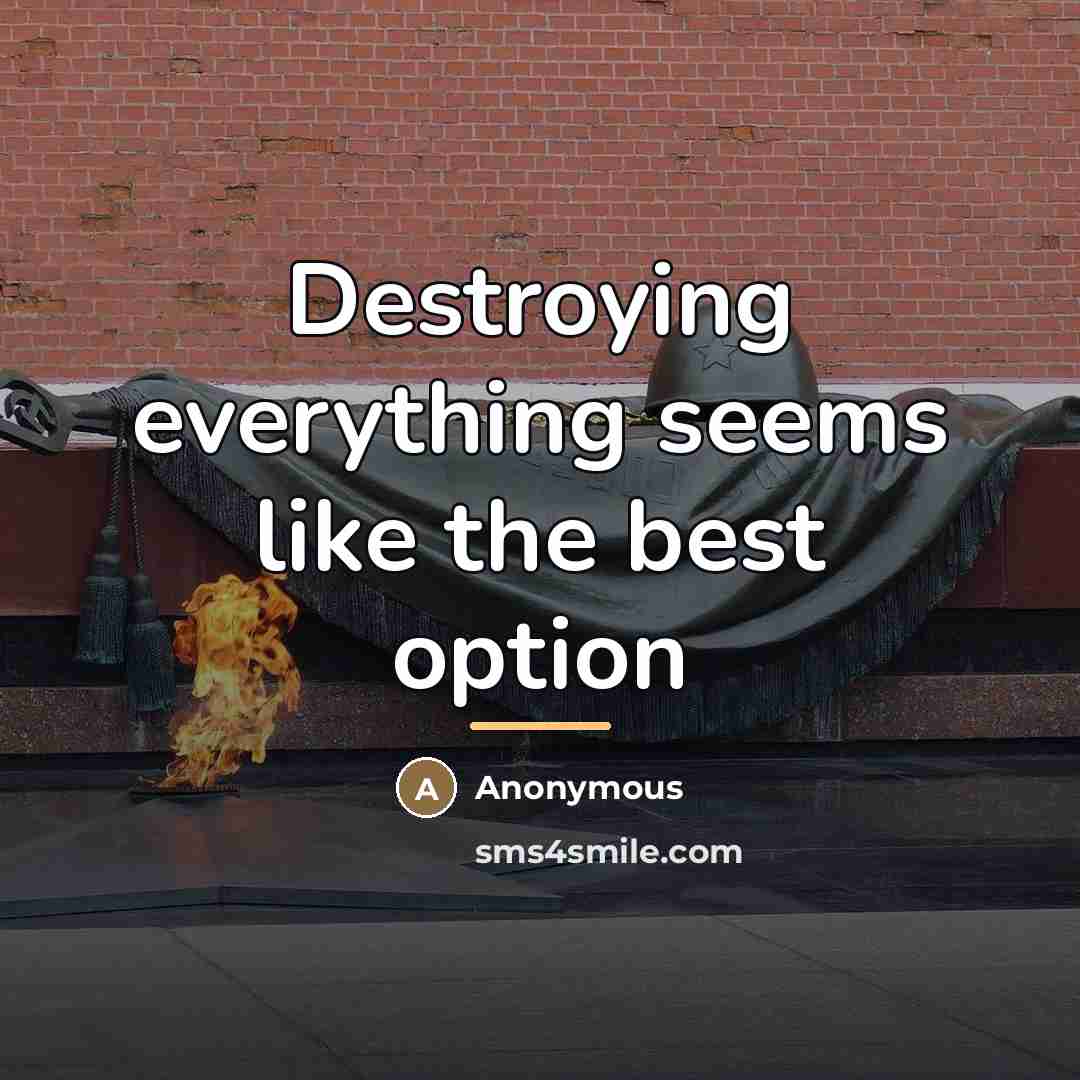“Destroying everything seems like the best option…” quote by Anonymous