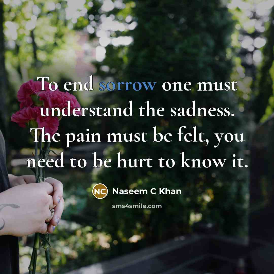 “To end sorrow one must understand the sadness. The pain…” quote by Naseem C Khan