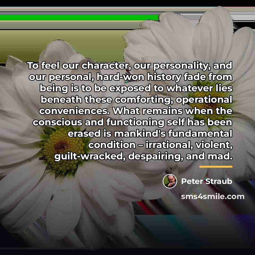 “To feel our character, our personality, and our personal, hard-won…” quote by Peter Straub