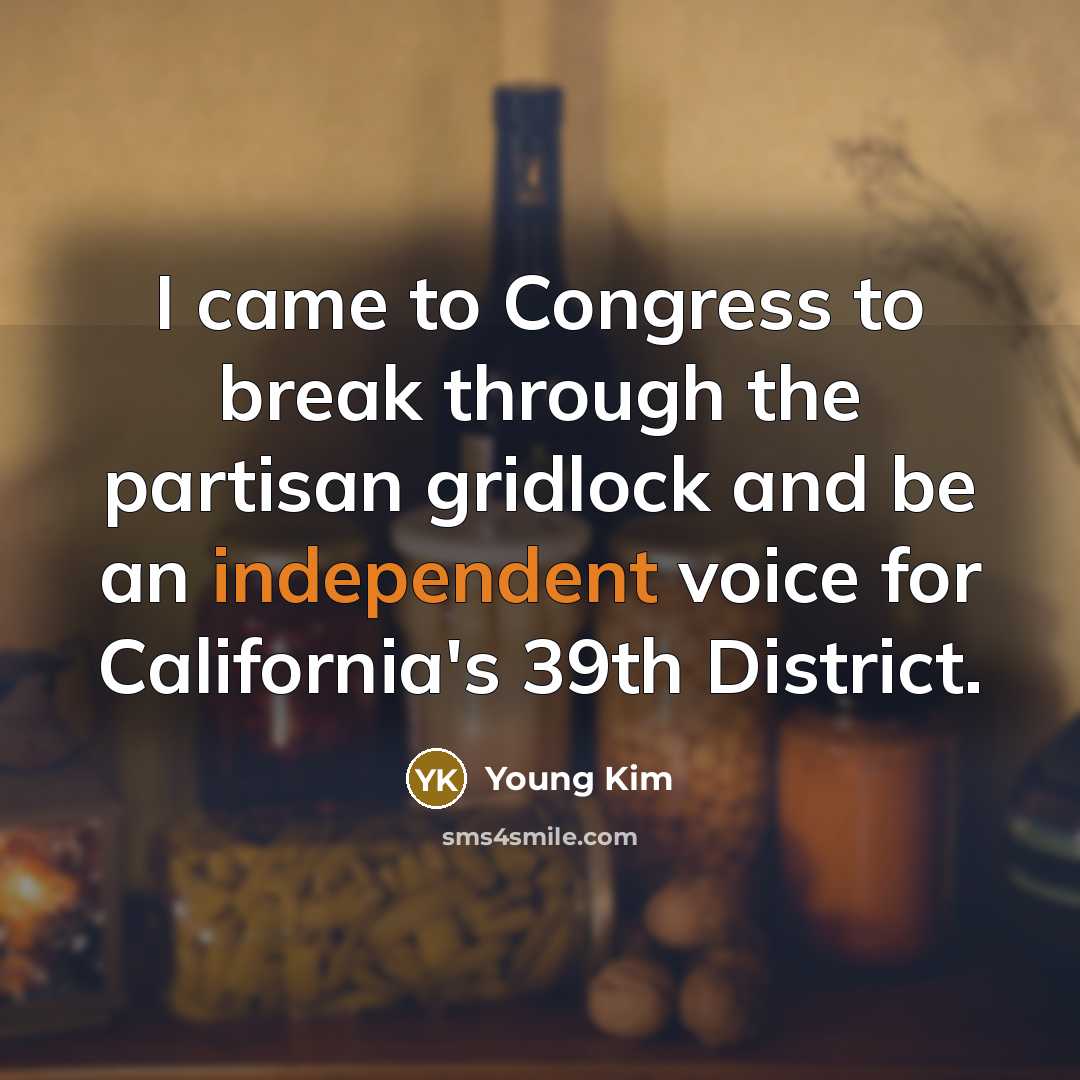 “I came to Congress to break through the partisan gridlock…” quote by Young Kim