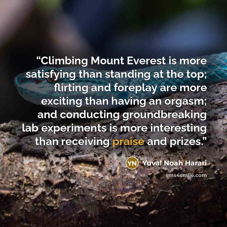 “Climbing Mount Everest is more satisfying than standing at the top; flirting and foreplay are more exciting than having an orgasm; and conducting groundbreaking lab experiments is more interesting than receiving praise and prizes.” quote by Yuval Noah Harari