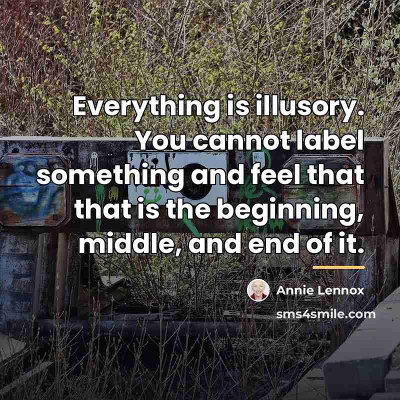 “Everything is illusory. You cannot label something and feel that…” quote by Annie Lennox